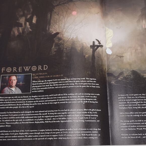 DIABLO III 2012 Loot Action RPG ARPG 444 Page Softcover Strategy Guide Book - Picture 5 of 11